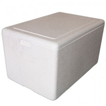CAIXA ISOPOR 050LT